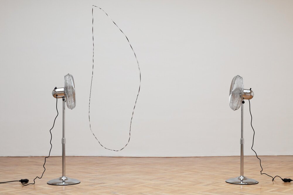 Exhibition talk The Art of Diminished Difference